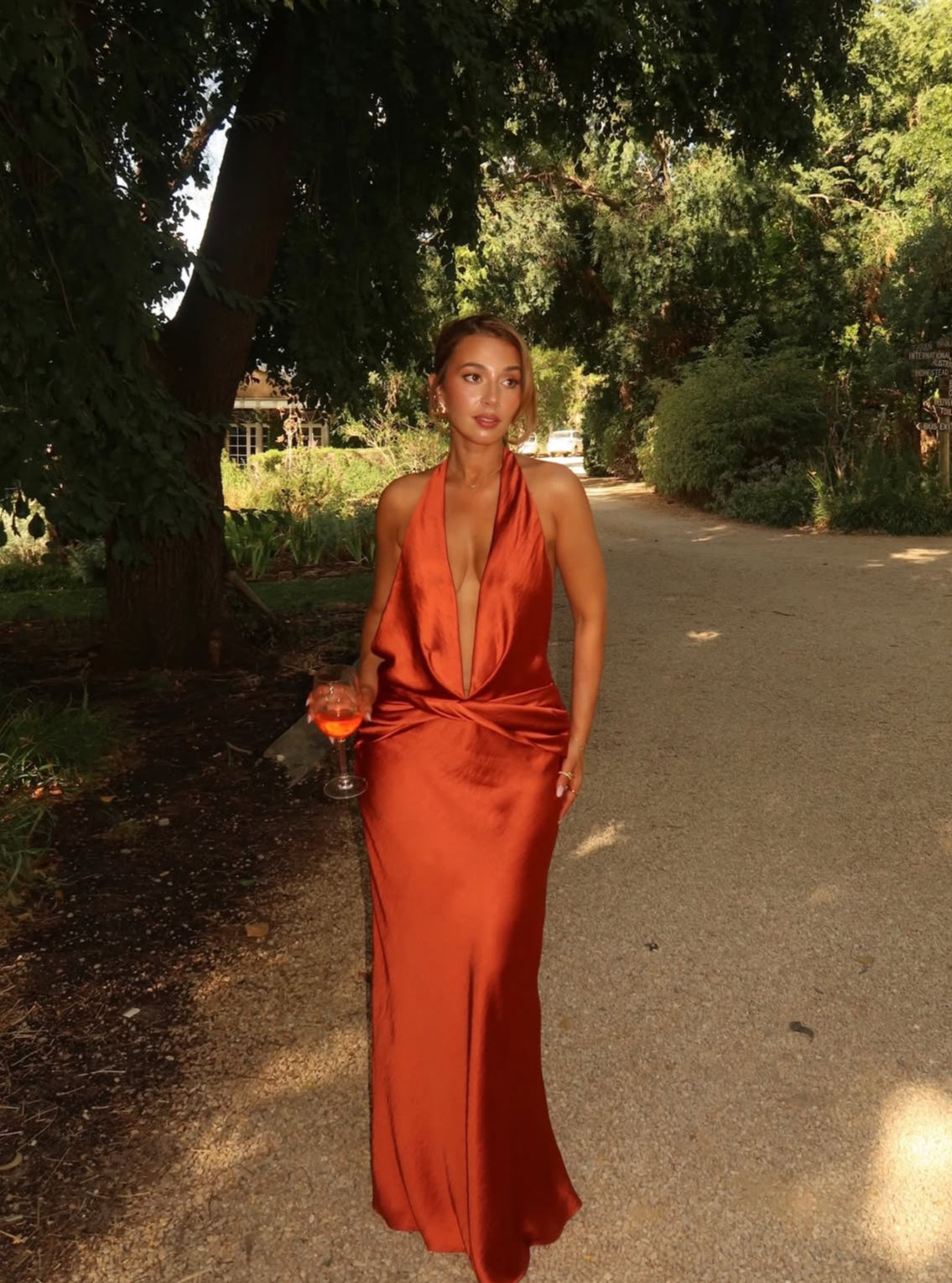 Francessca Dress Rust